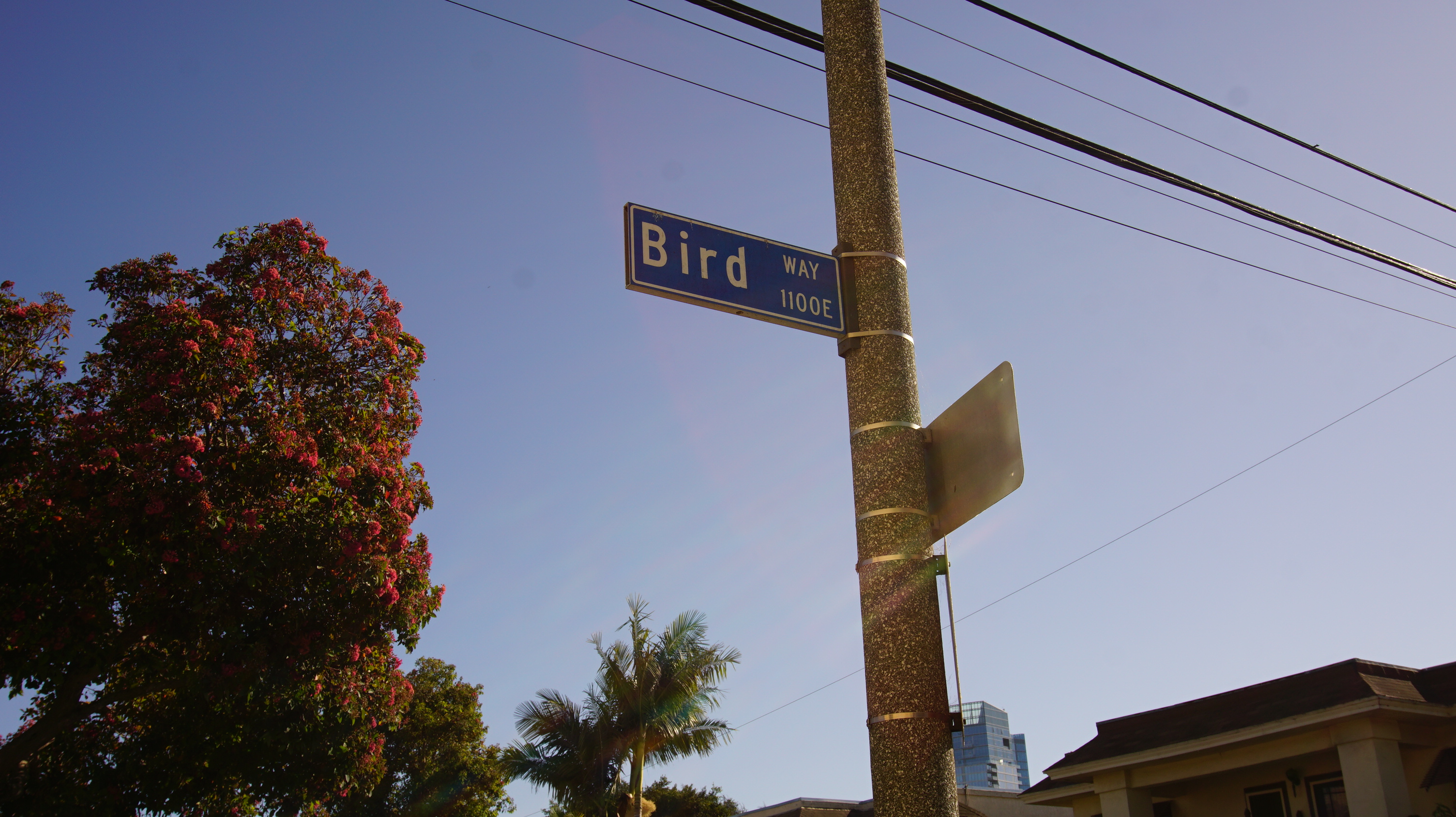 Bird Way