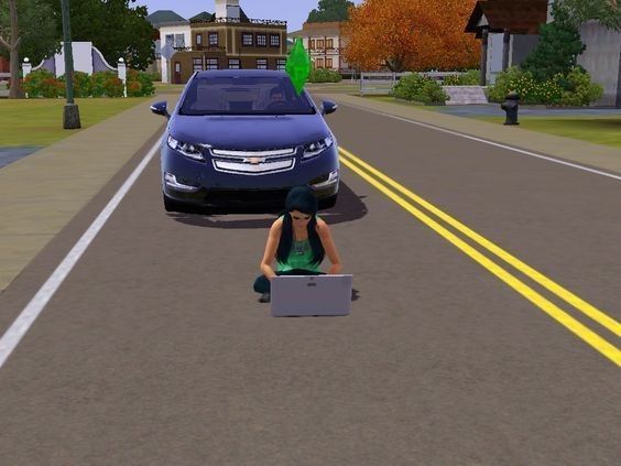 sims image